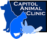 Your Pet’s Health with Capitol Animal Clinic