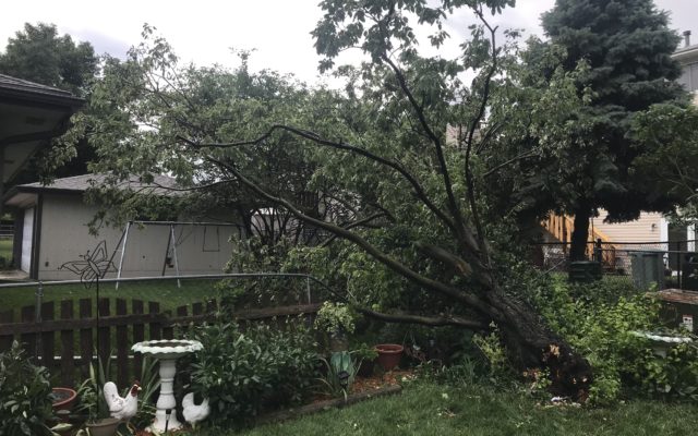 Possible Microburst Thursday Afternoon Caused Tree Damage In Northeast Lincoln