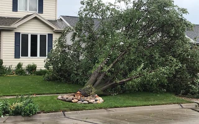 Information On How You Can Removed Downed Trees, Limbs Following Thursday’s Storms