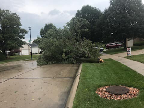 City Officials Offer Reminders In Reported Downed Trees In Lincoln