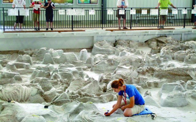 Ashfall Fossil Beds To Open May 1 For 30th Anniversary Season