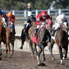 2 Race Horses Euthanized, Others Quarantined at Fonner Park
